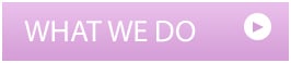 What We Do